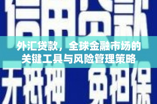 江阳外汇贷款，全球金融市场的关键工具与风险管理策略