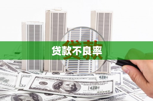 江阳贷款不良率