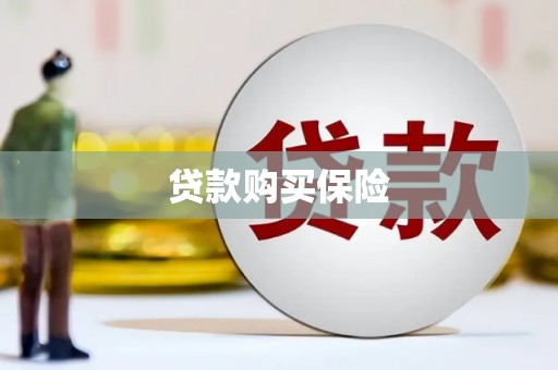 江阳贷款购买保险