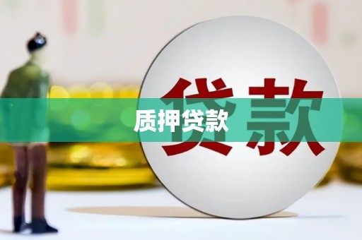 江阳质押贷款