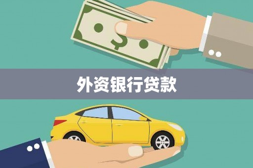 江阳外资银行贷款