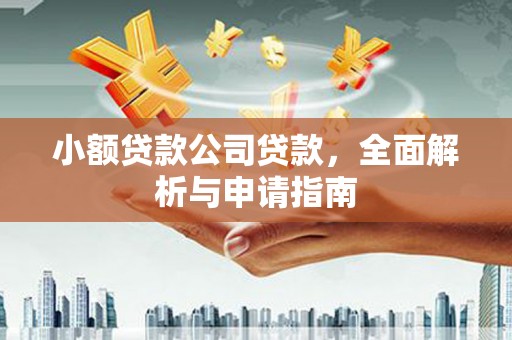 江阳小额贷款公司贷款，全面解析与申请指南