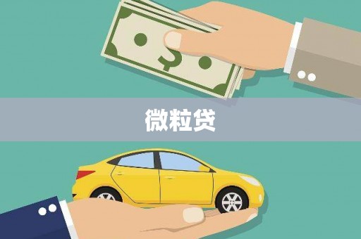 江阳微粒贷
