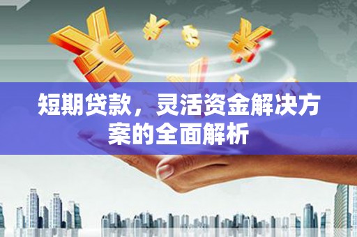 江阳短期贷款，灵活资金解决方案的全面解析