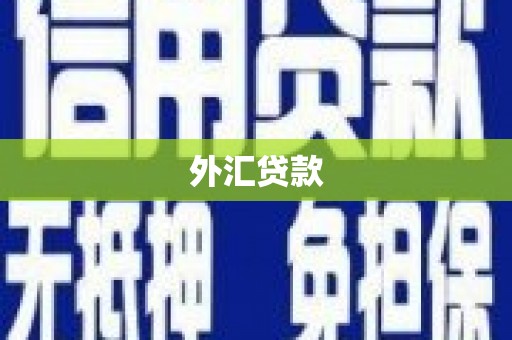 江阳外汇贷款