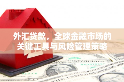 江阳外汇贷款，全球金融市场的关键工具与风险管理策略