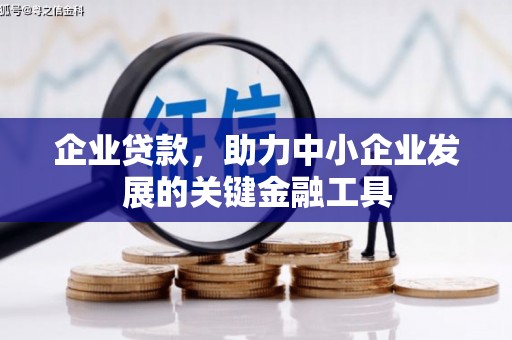 江阳企业贷款，助力中小企业发展的关键金融工具