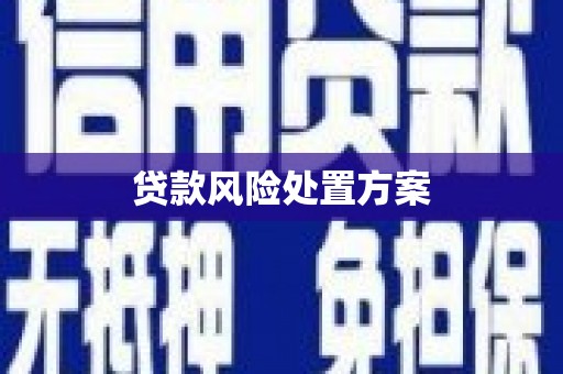 江阳贷款风险处置方案