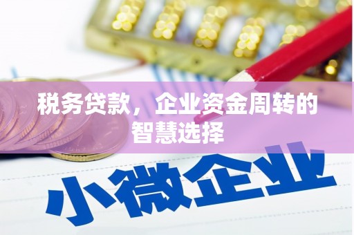 江阳税务贷款，企业资金周转的智慧选择