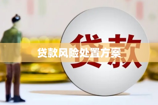 江阳贷款风险处置方案