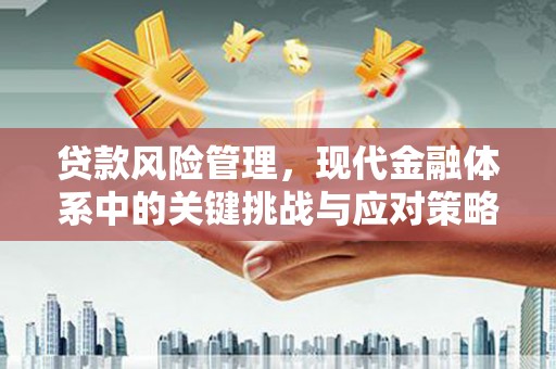 江阳贷款风险管理，现代金融体系中的关键挑战与应对策略