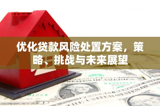 江阳优化贷款风险处置方案，策略、挑战与未来展望