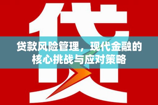 江阳贷款风险管理，现代金融的核心挑战与应对策略