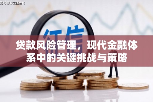 江阳贷款风险管理，现代金融体系中的关键挑战与策略