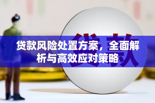 江阳贷款风险处置方案，全面解析与高效应对策略