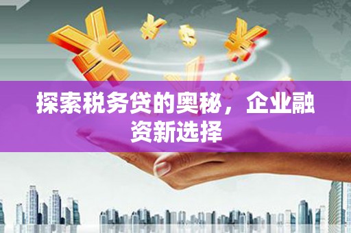 江阳探索税务贷的奥秘，企业融资新选择