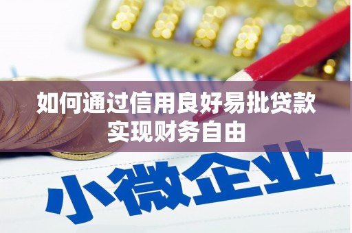 江阳如何通过信用良好易批贷款实现财务自由