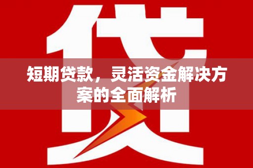江阳短期贷款，灵活资金解决方案的全面解析