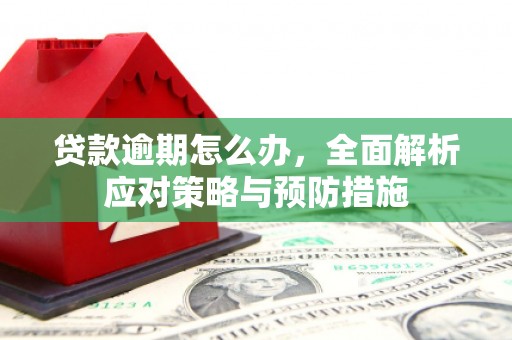 江阳贷款逾期怎么办，全面解析应对策略与预防措施