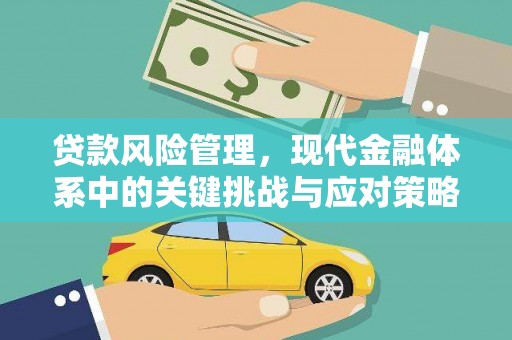 江阳贷款风险管理，现代金融体系中的关键挑战与应对策略