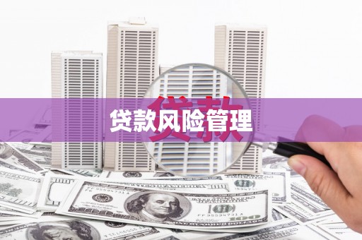 江阳贷款风险管理