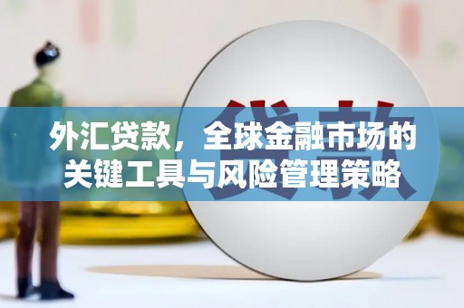 江阳外汇贷款，全球金融市场的关键工具与风险管理策略