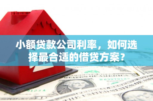 江阳小额贷款公司利率，如何选择最合适的借贷方案？