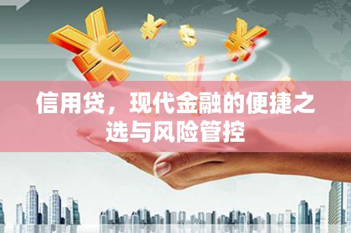 江阳信用贷，现代金融的便捷之选与风险管控