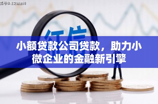 江阳小额贷款公司贷款，助力小微企业的金融新引擎