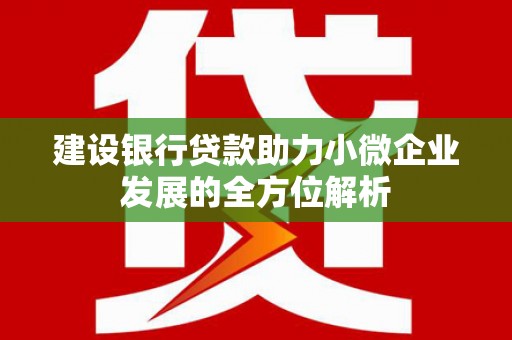 江阳建设银行贷款助力小微企业发展的全方位解析