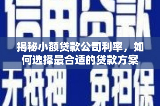 江阳揭秘小额贷款公司利率，如何选择最合适的贷款方案