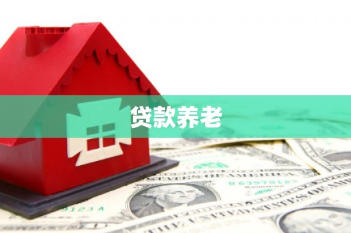 江阳贷款养老