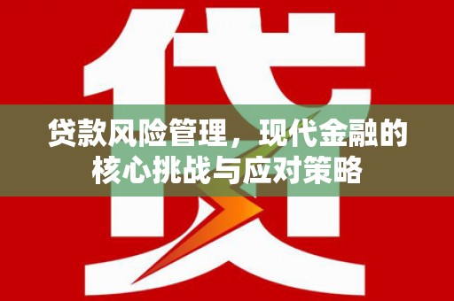 江阳贷款风险管理，现代金融的核心挑战与应对策略