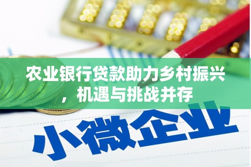 江阳农业银行贷款助力乡村振兴，机遇与挑战并存