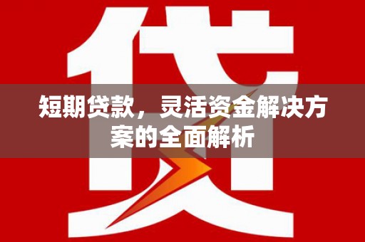 江阳短期贷款，灵活资金解决方案的全面解析