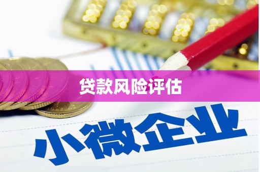 江阳贷款风险评估