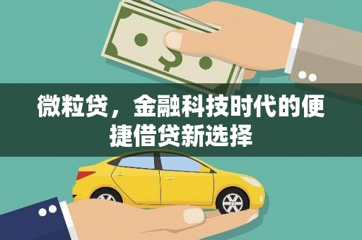 江阳微粒贷，金融科技时代的便捷借贷新选择