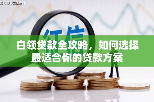 江阳白领贷款全攻略，如何选择最适合你的贷款方案